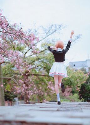 惜花芷电视剧免费_720免费观看